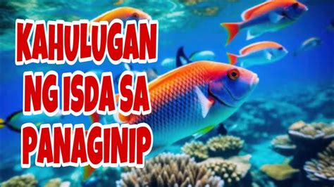 number ng isda sa panaginip